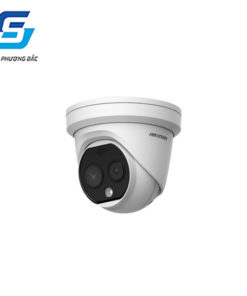 CAMERA IP HIKVISION DS-2TD1217B-3/PA